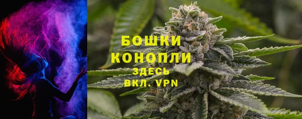 ГАЛЛЮЦИНОГЕННЫЕ ГРИБЫ Лихославль