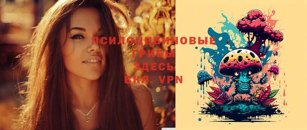 мдпв Лабытнанги