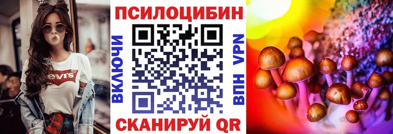Псилоцибиновые грибы MAGIC MUSHROOMS  где можно купить наркотик  Малмыж 